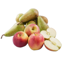 Conference peren of Morgana appels